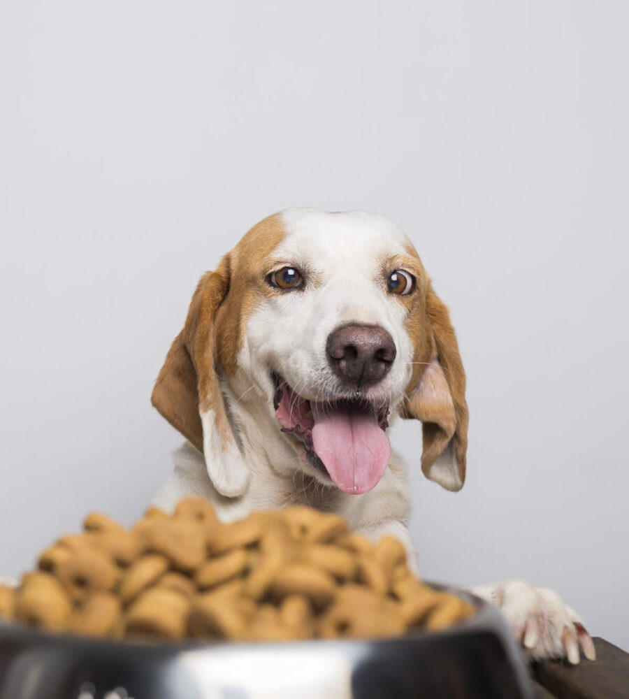 Prodotti senza cereali