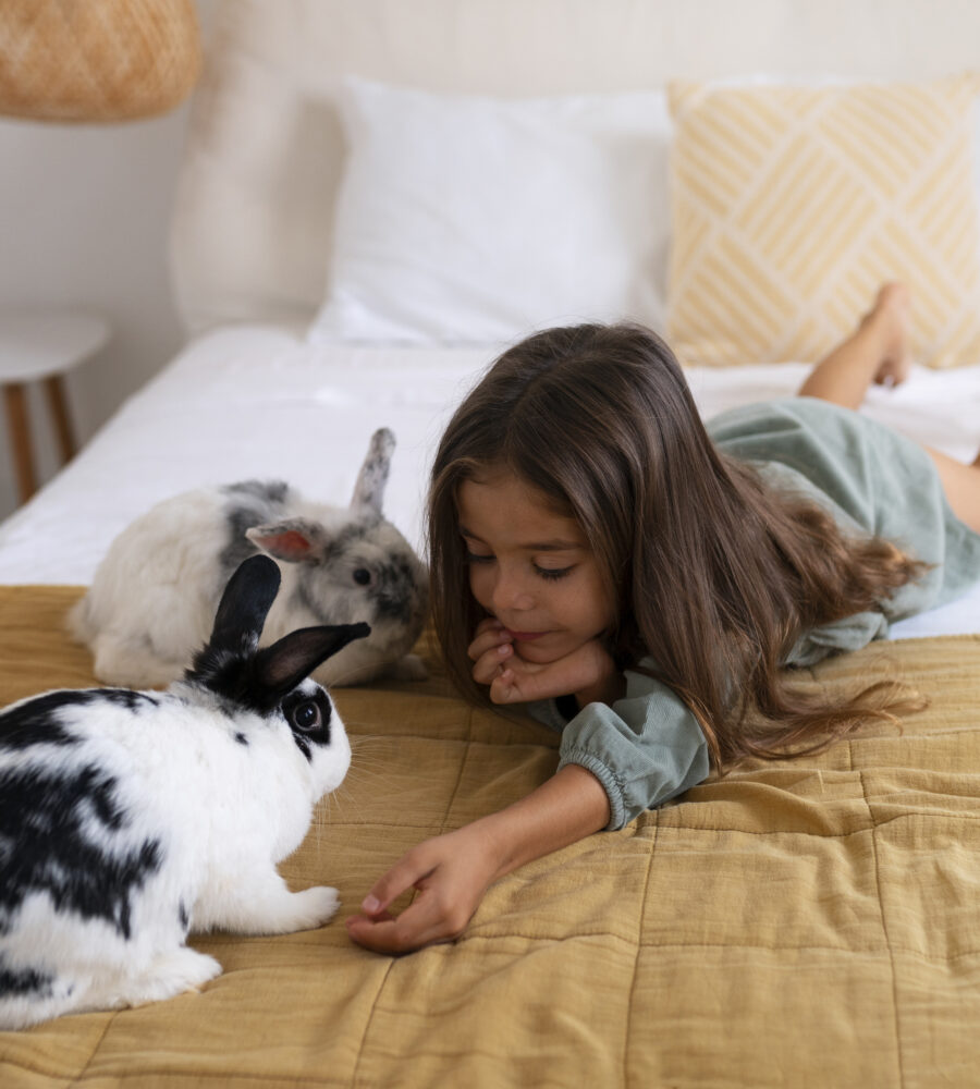 Muta del coniglio: periodo, durata e come gestirla