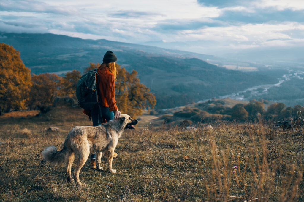 Vacanze con il cane in montagna: natura e libertà 