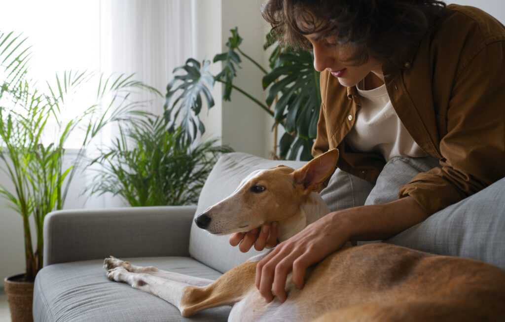 Il ruolo del pet therapy dog negli interventi assistiti