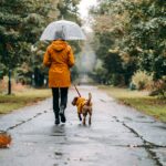 Passeggiate con il cane quando piove: consigli utili per l’autunno
